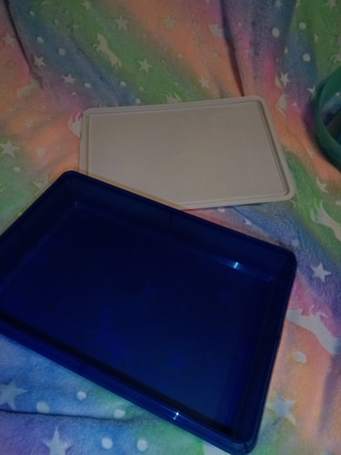 Tupperware partybox top - tupperware,