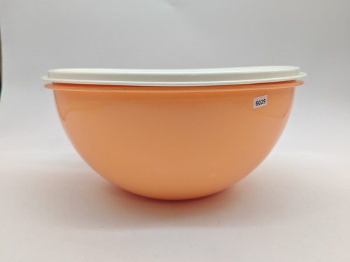 Tupperware l behälter - tupperware,